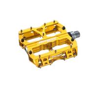 Coppia di pedali reverse escape gold