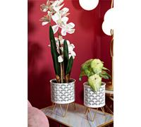 PORTA VASI CARLY COPPIA