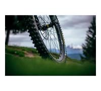 Coppia di ruote Mavic E-deemax S WBINT29BSTXD Noir