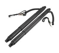 Coppia Di Supporti Per Portellone Posteriore Elettrico Per BMW Per X6, Per E71, Per E72, Ammortizzatori A Gas Per Molle A Gas Portellone Posteriore(Right and Left)