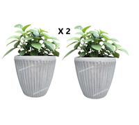 Coppia Di Vasi, Vaso rotondo In Cemento Da Esterno Giardino Piante H 32,5 Cm Ø35