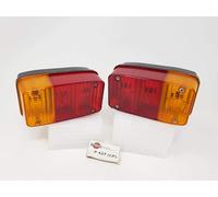 COPPIA DI CORPI LUMINOSI FANALI POSTERIORI APE P601 V COD.P427