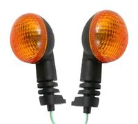 Coppia Indicatore Posteriore Sinistra + Destra per Gas HP 450 Wilde