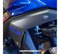 Coppia Inserto 3d compatibile fianco alluminio BMW R 1300 GS Standard Blu x3