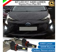 COPPIA LAMPADE H11 LED CANBUS FENDINEBBIA TOYOTA PRIUS PLUS W4 6400L 6000K
