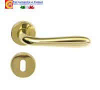 Coppia Maniglia per Porta Alluminio AGNONE Classica con Bocchetta Finitura Oro