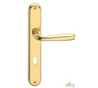 COPPIA MANIGLIA PORTA INTERNO CON PLACCA GOCCIA 8/70 DORATA ORO LUCIDO H245MM