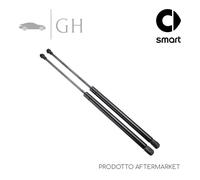 COPPIA MOLLE A GAS /PISTONCINI AMMORTIZZATORI LUNOTTO POST SMART FORTWO 450 2003