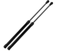 Coppia Molle A Gas Pistoni Ammortizzatori Cofano Anteriore Compatibile con BMW X6 E71 dal 2008 in poi