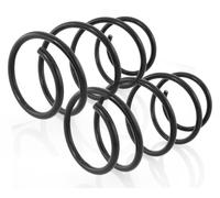 Coppia Molle Ammortizzatori Anteriori D + S per Chrysler Voyager 1996-2000