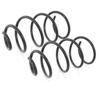 Coppia Molle Ammortizzatori Anteriori D + S per Fiat Punto 1993-1999 1.1,1.2