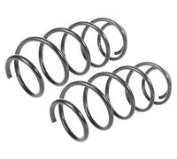 Coppia Molle Ammortizzatori Anteriori D + S per Ford Fiesta V 1.4TDCI 2001-2008