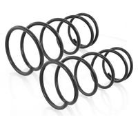 Coppia Molle Ammortizzatori Anteriori D+S per Nissan Maxima QX III A32 1994-1999