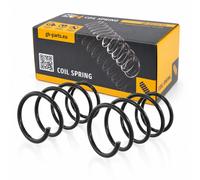 Coppia Molle Ammortizzatori Anteriori D + S per Nissan X-Trail T30 2001-2007