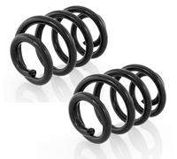 Coppia Molle Ammortizzatori Anteriori per Nissan Interstar, Movano, R. Master II