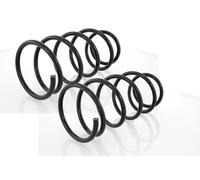 Coppia Molle Ammortizzatori Anteriori per Renault Megane I + Grandtour 1995-2003