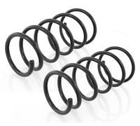 Coppia Molle Ammortizzatori Anteriori per Renault Megane I,Scénic I 1995-2003