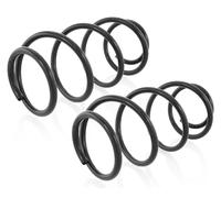 Coppia Molle Ammortizzatori Anteriori per Renault Megane II + Combi 2002-2009