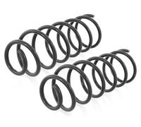 Coppia Molle Ammortizzatori Anteriori per Skoda Octavia 1.4, 1.4 16V, 1.6 96-04