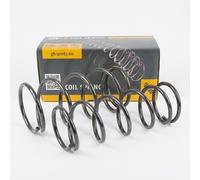 Coppia Molle Ammortizzatori Posteriore Destro=Sinistro GH-22444202