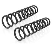 Coppia Molle Ammortizzatori Posteriori D + S per BMW Series 5 E39 1996-2003