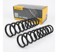 Coppia Molle Ammortizzatori Posteriori D + S per BMW Series 5 E39 1996-2003