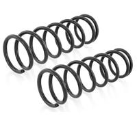 Coppia Molle Ammortizzatori Posteriori D + S per Fiat Cinquecento, Seicento