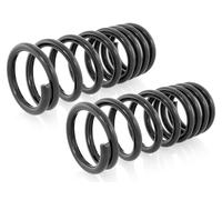 Coppia Molle Ammortizzatori Posteriori D+S per Kia Carnival I,II UP,GQ 1999-2006