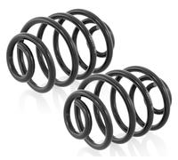 Coppia Molle Ammortizzatori Posteriori D+S per Opel Astra I F +Classic Kadett E