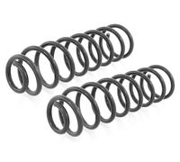 Coppia Molle Ammortizzatori Posteriori D+S per Renault Megane II Combi 2003-2009