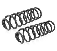 Coppia Molle Ammortizzatori Posteriori D + S per Renault Scénic II 2003-2009