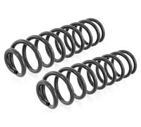 Coppia Molle Ammortizzatori Posteriori D+S per Renault Scénic II Grand 2003-2009
