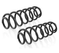 Coppia Molle Ammortizzatori Posteriori D + S per VW Passat 3C5 Variant 03.2005-