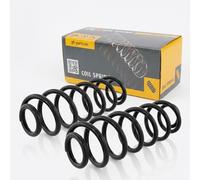 Coppia Molle Ammortizzatori Posteriori D + S per VW Passat 3C5 Variant 03.2005-