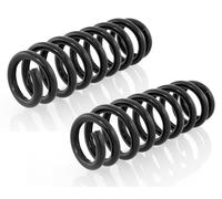 Coppia Molle Ammortizzatori Posteriori per BMW 3 E90, E91, E92, 1 E87, E88 2005-