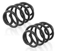 Coppia Molle Ammortizzatori Posteriori per Daewoo Lanos KLAT,Nexia KLETN,Espero