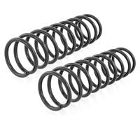 Coppia Molle Ammortizzatori Posteriori per Ford Fiesta IV JA,JB, Mazda 121 III