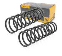 Coppia Molle Ammortizzatori Posteriori per Ford Fiesta IV JA,JB, Mazda 121 III
