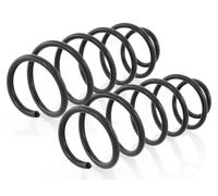 Coppia Molle Ammortizzatori Posteriori per Ford Mondeo 3 III B5Y,B4Y 2000-2007