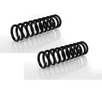 Coppia Molle Ammortizzatori Posteriori per Mercedes C-Classe 202,W202 1993-2000