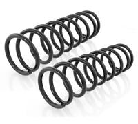 Coppia Molle Ammortizzatori Posteriori per Nissan Terrano, Ford Maverick 1993-