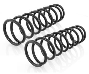 Coppia Molle Ammortizzatori Posteriori per Nissan Terrano, Ford Maverick 1993-