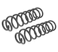 Coppia Molle Ammortizzatori Posteriori per Renault Megane II 5-Porte 2002-2008