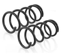 Coppia Molle Ammortizzatori Posteriori per Toyota Rav 4 I SXA1 1994-2000 2.0 16V