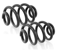 Coppia Molle Ammortizzatori Posteriori per VW Transporter III T3,IV T4 1979-2003