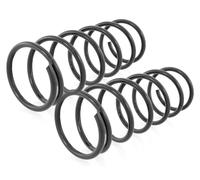 Coppia Molle Anteriori per BMW 5 E34 + Combi 88- 2.4TD,2.5,2.5TD,2.5TDS