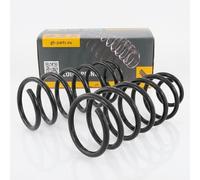Coppia Molle Anteriori per Bora + Variant,Golf IV,Beetle,Passat 3A2,3A5
