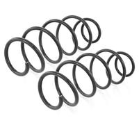 Coppia Molle Anteriori per Ford Fiesta V 2004-2008,Mazda 2 DY 2004-2007