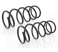 Coppia Molle Anteriori per Ford Focus I DAW,DBW,DFW + Combi DNW 1998-