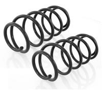 Coppia Molle Anteriori per Opel Astra II G,Vectra B + Caravan 1995-2009